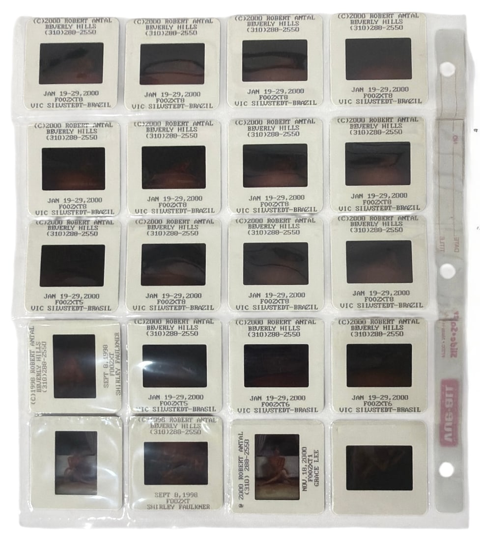 Photo Slide Collection: Photo Slide Collection