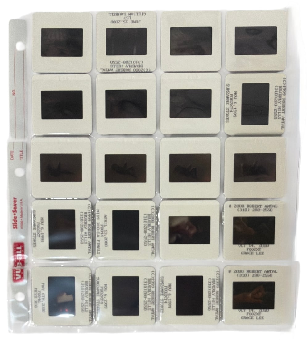 Photo Slide Collection: Photo Slide Collection