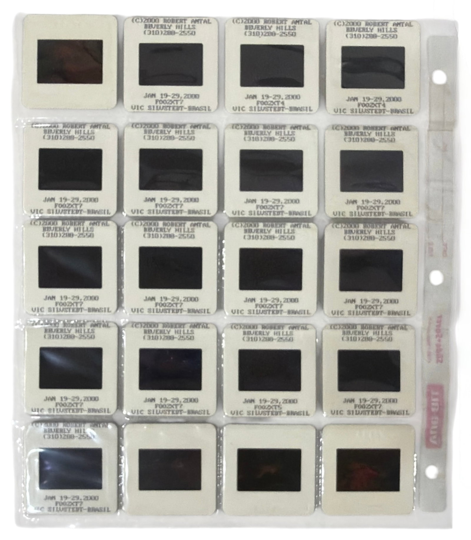 Photo Slide Collection: Photo Slide Collection
