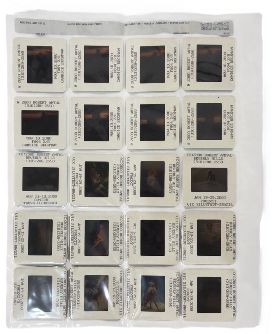 Photo Slide Collection: Photo Slide Collection
