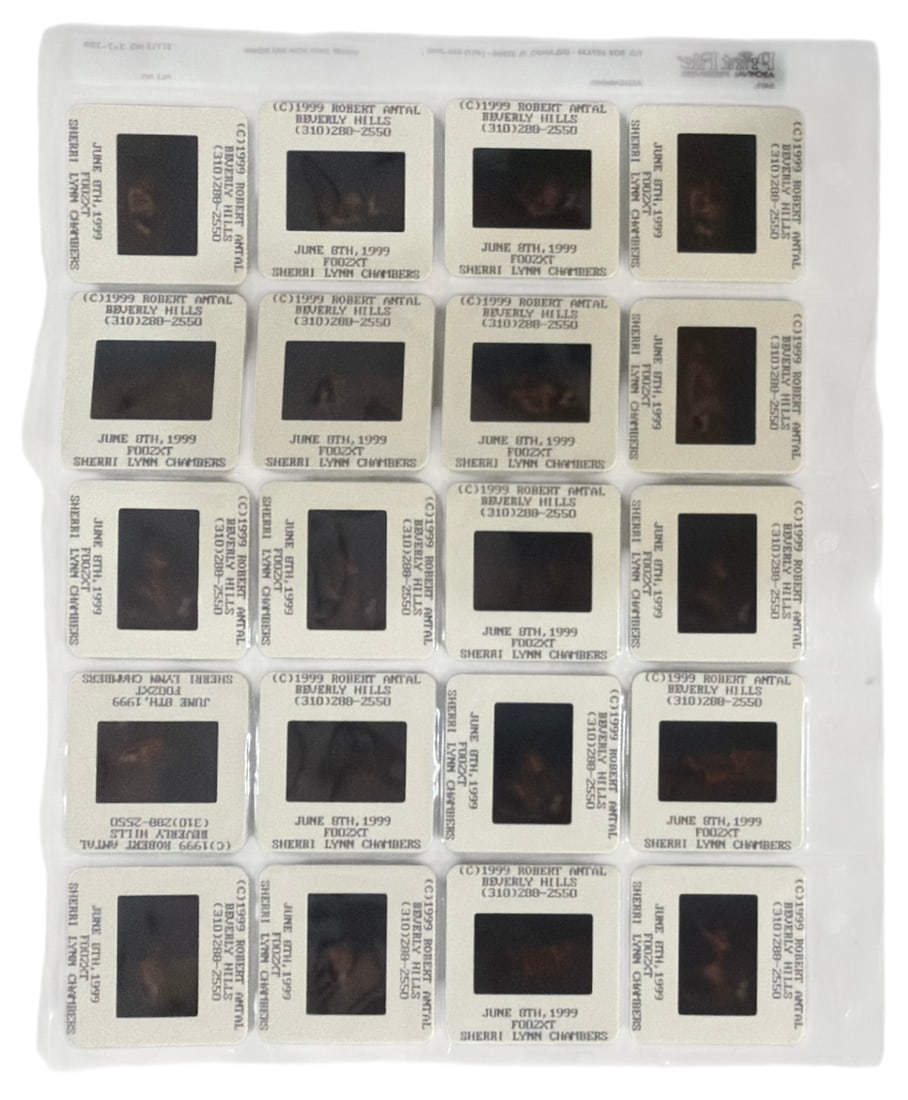 Photo Slide Collection: Photo Slide Collection