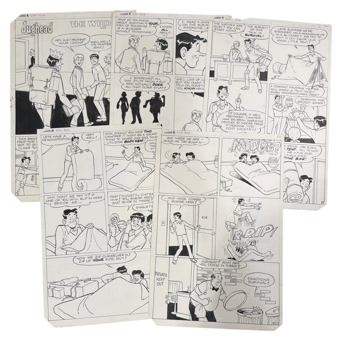 Original Artwork For Jughead No. 324 | 5 Page Story The Wild Life By Samm Schwartz (1 of 6)