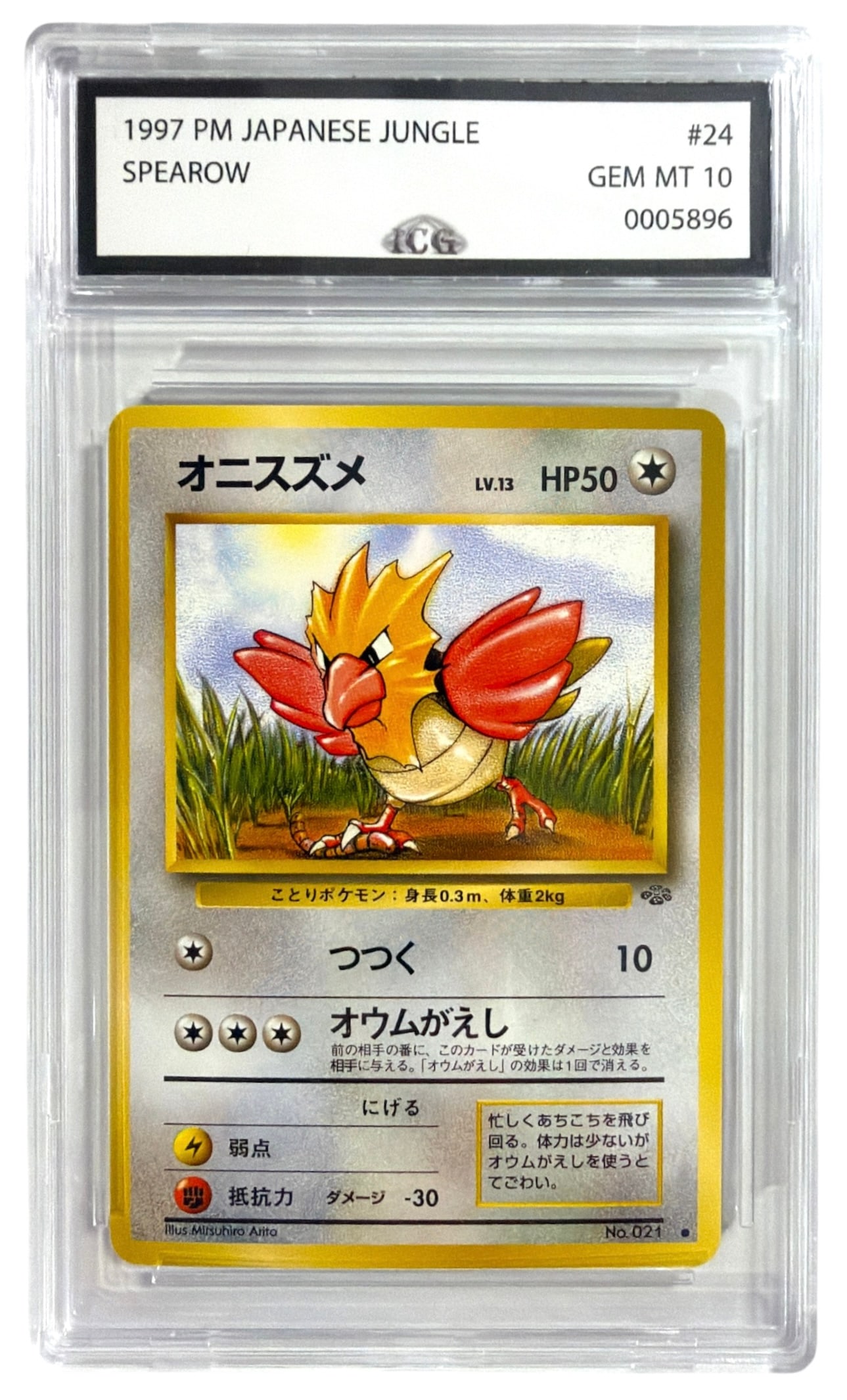 1997 Japanese Pokemon Spearow From Jungle Set | No. 24 | Graded 10: 1997 Japanese Pokemon Spearow From Jungle Set | No. 24 | Graded 10