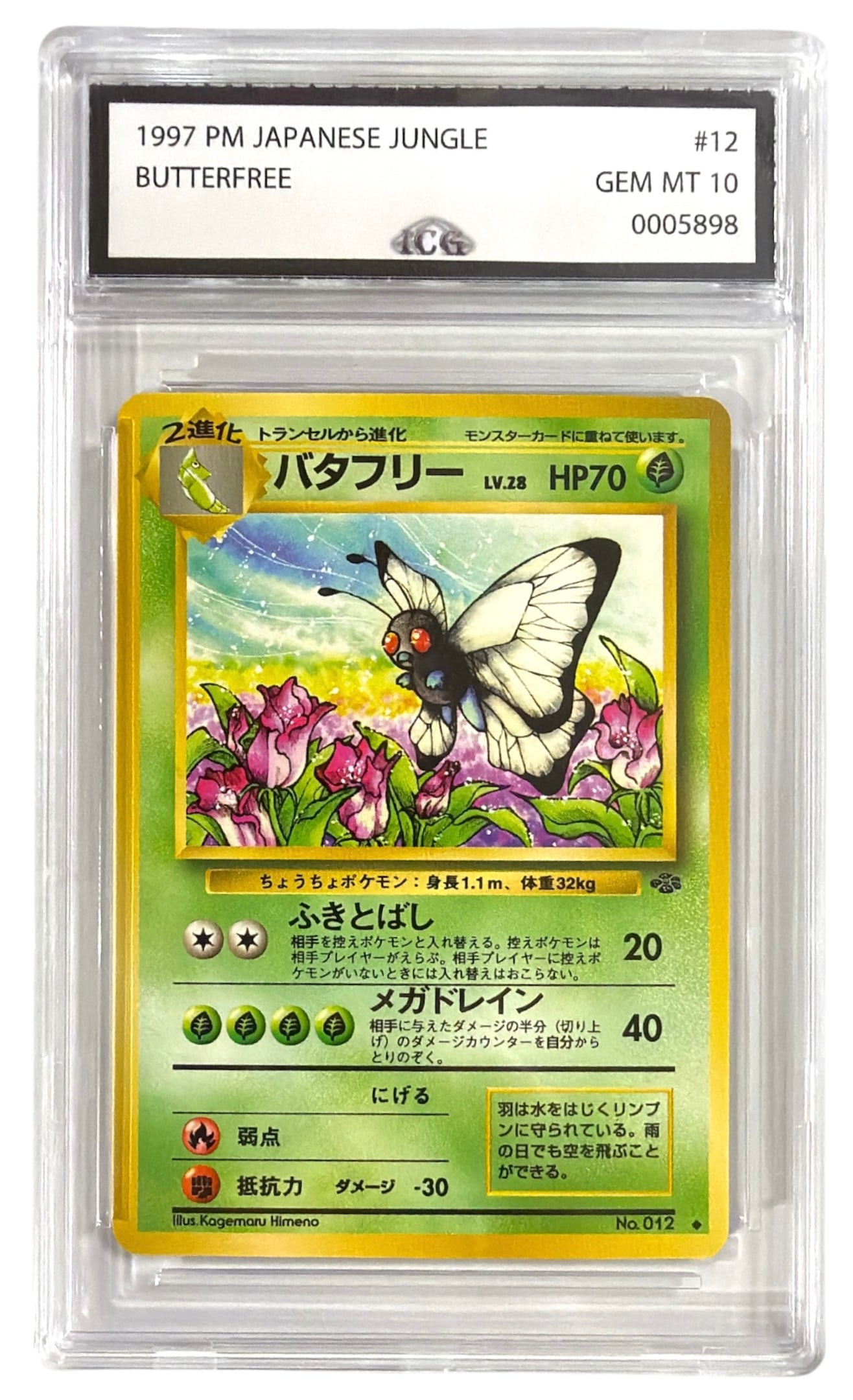 1997 Japanese Pokemon Butterfree From Jungle Set | No. 12 | Graded 10: 1997 Japanese Pokemon Butterfree From Jungle Set | No. 12 | Graded 10