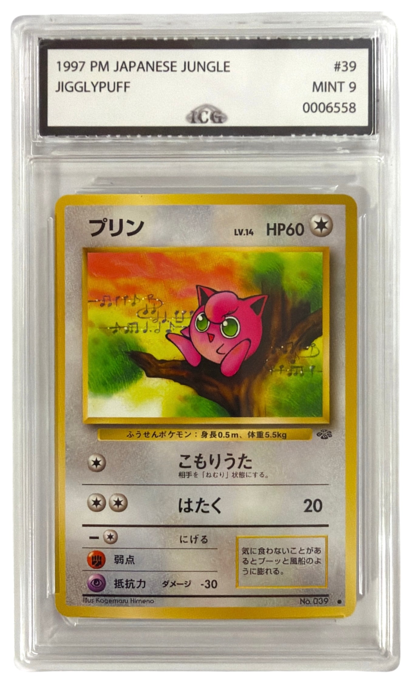 1997 Japanese Pokemon JigglyPuff From Jungle Set | No. 39 | Graded 10: 1997 Japanese Pokemon JigglyPuff From Jungle Set | No. 39 | Graded 10