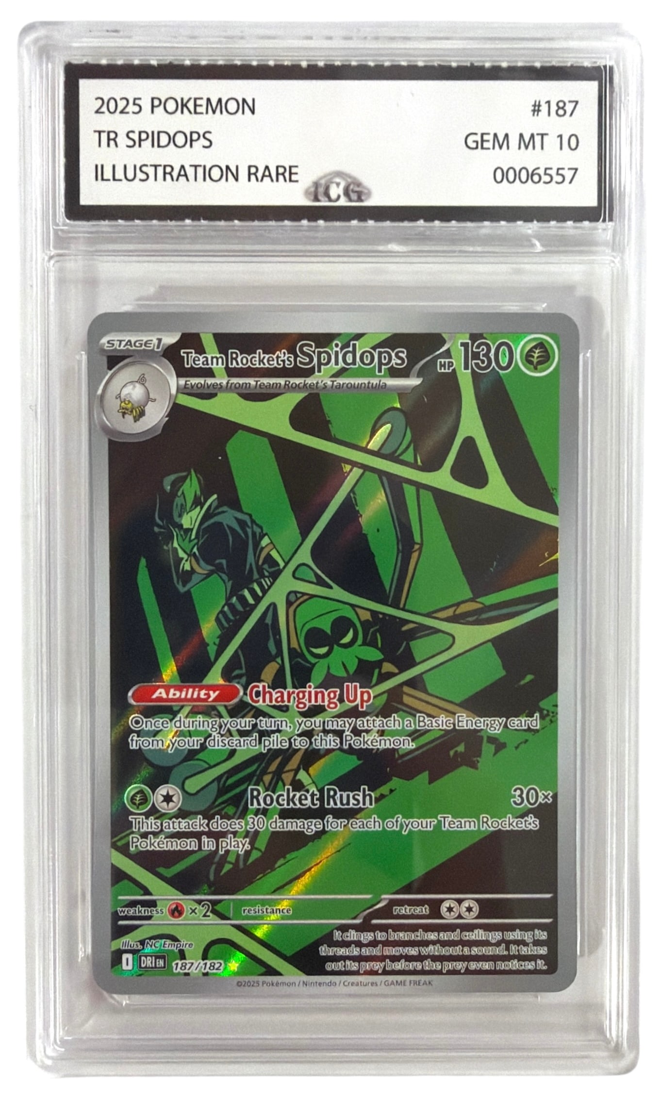 2025 Pokemon Team Rocket Illustration RARE Spidops | No. 187 | Graded 10: 2025 Pokemon Team Rocket Illustration RARE Spidops | No. 187 | Graded 10