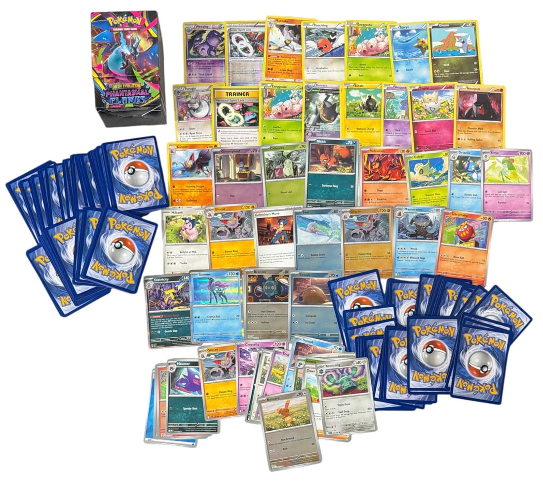 Pokemon Trading Card Collection: AUTHENTICATION HAS NOT BEEN PERFORMED TO GUARANTEE VERIFICATION | All purchases are made at the buyers discretion