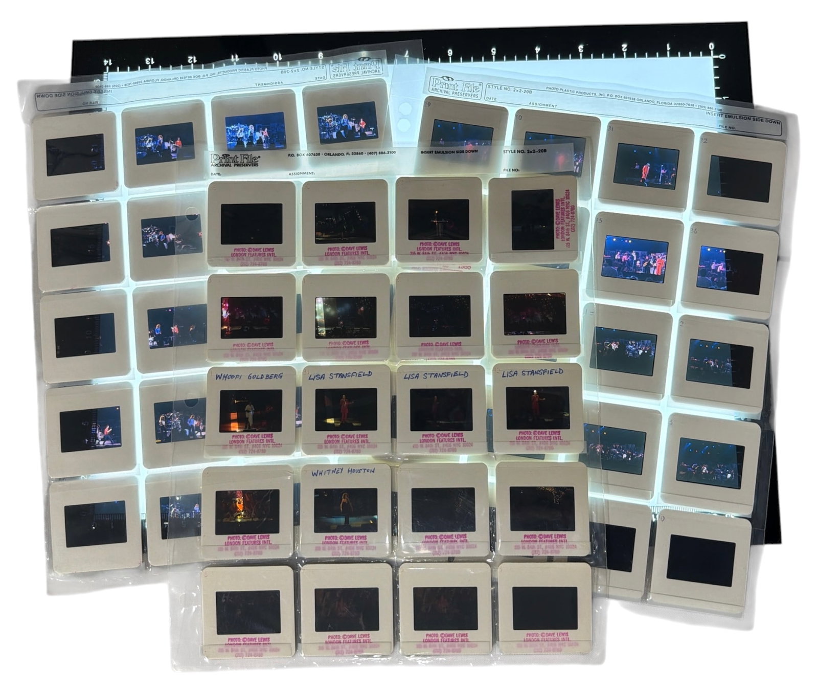 Rock n Roll Concert Photo Slide Collection: Rock n Roll Concert Photo Slide Collection