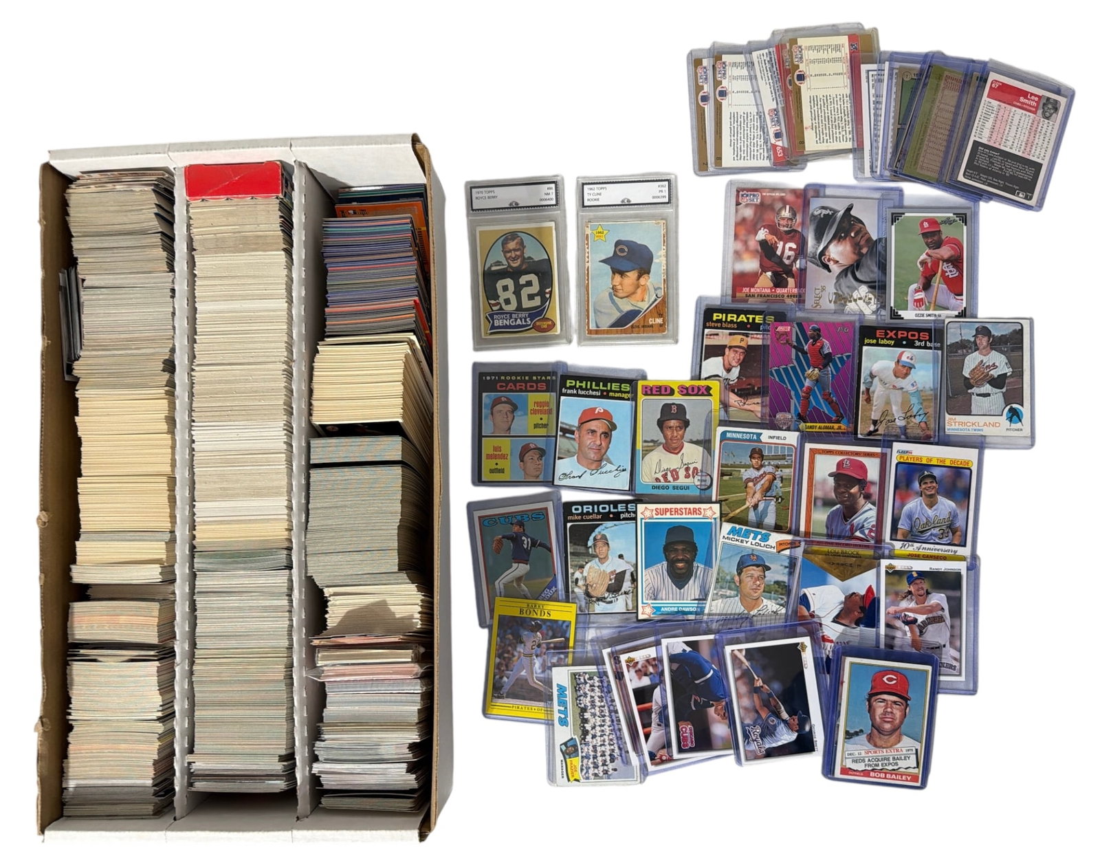 Sport Trading Card Collection (1 of 1)