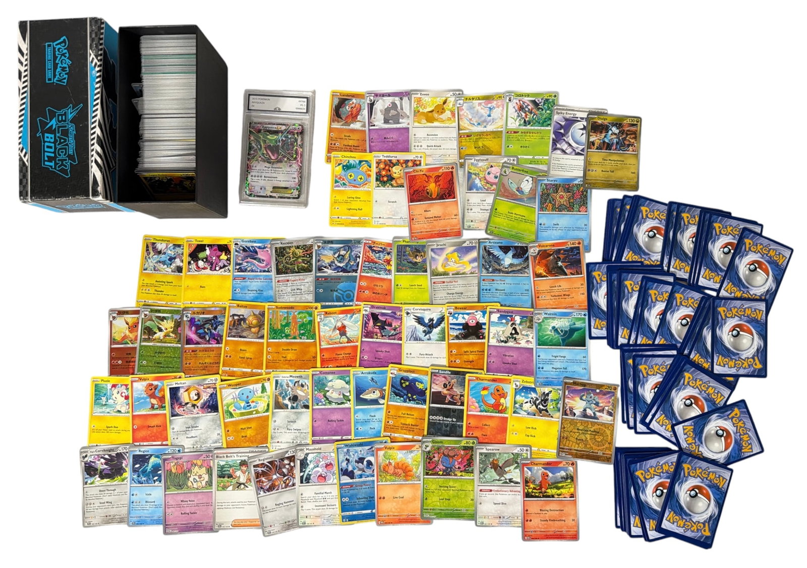 Pokemon Trading Card Collection: AUTHENTICATION HAS NOT BEEN PERFORMED TO GUARANTEE VERIFICATION | All purchases are made at the buyers discretion