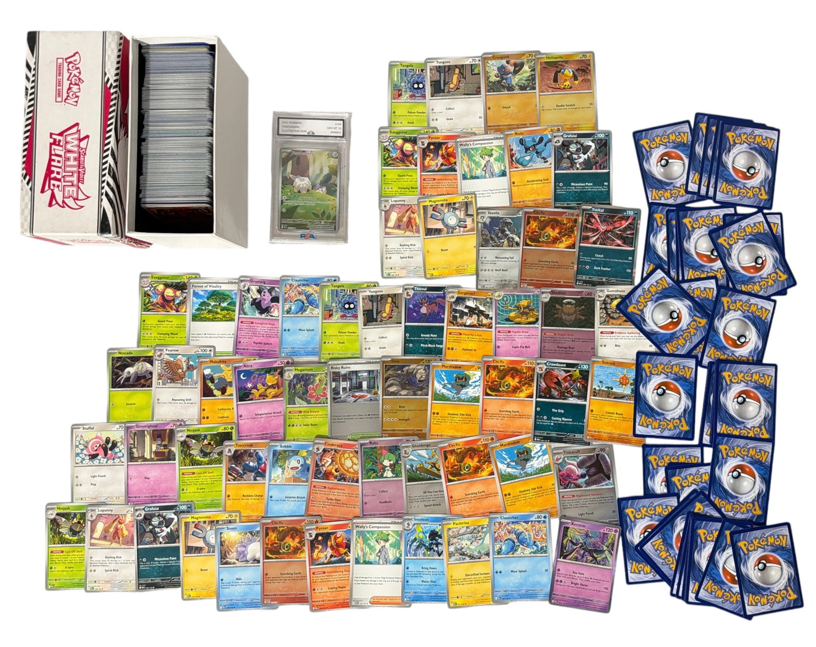 Pokemon Trading Card Collection: AUTHENTICATION HAS NOT BEEN PERFORMED TO GUARANTEE VERIFICATION | All purchases are made at the buyers discretion