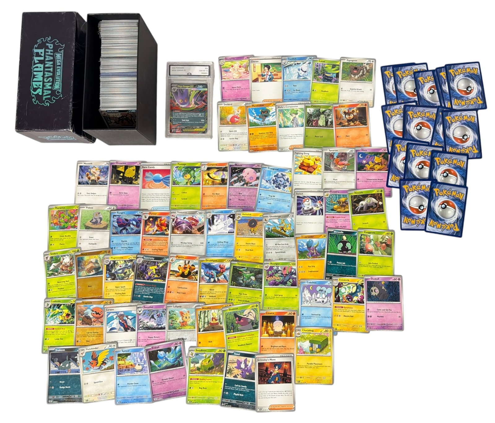 Pokemon Trading Card Collection: AUTHENTICATION HAS NOT BEEN PERFORMED TO GUARANTEE VERIFICATION | All purchases are made at the buyers discretion