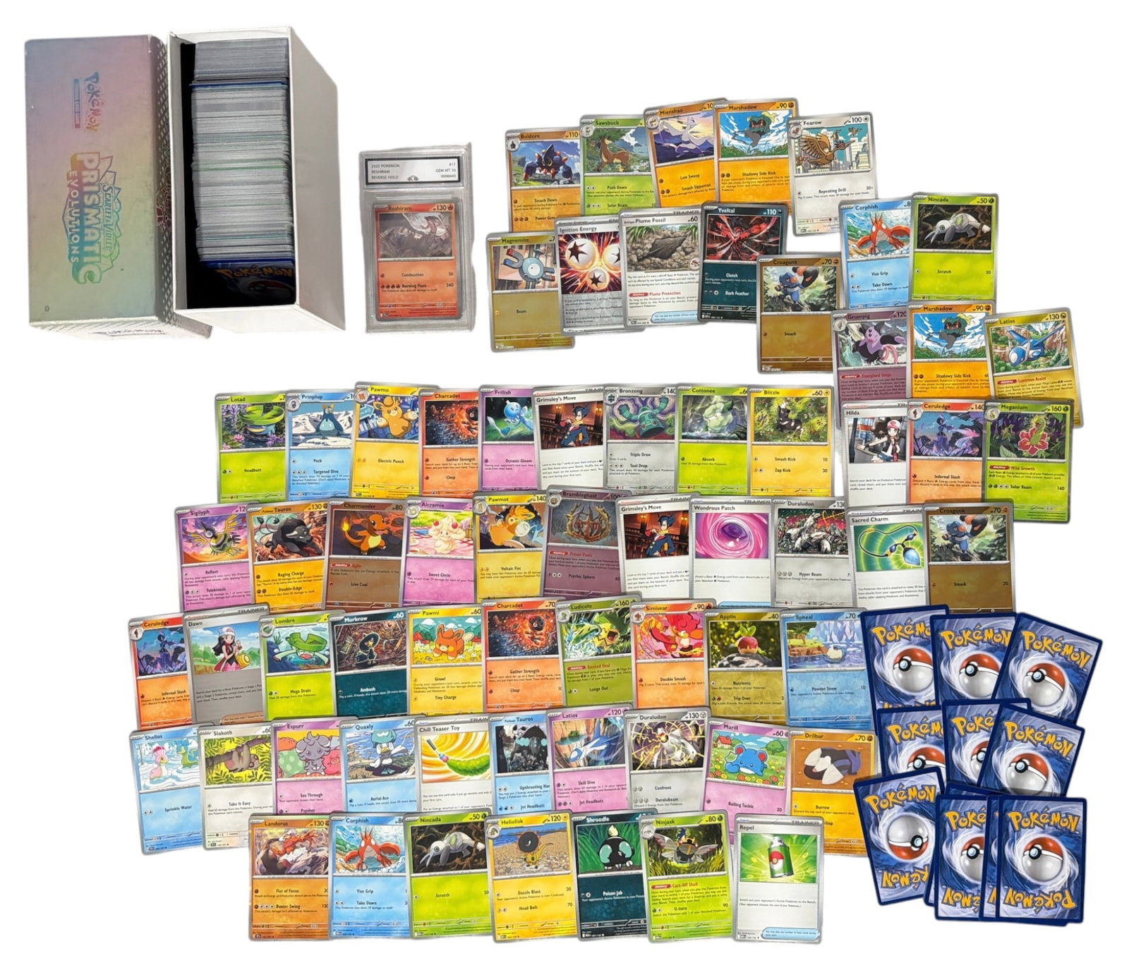 Pokemon Trading Card Collection: AUTHENTICATION HAS NOT BEEN PERFORMED TO GUARANTEE VERIFICATION | All purchases are made at the buyers discretion