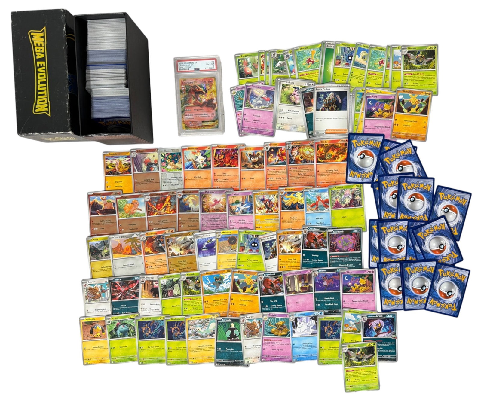 Pokemon Trading Card Collection: AUTHENTICATION HAS NOT BEEN PERFORMED TO GUARANTEE VERIFICATION | All purchases are made at the buyers discretion