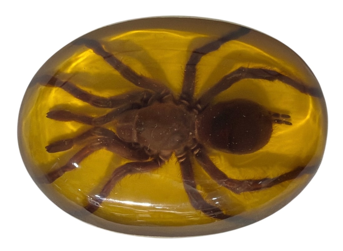 Tarantula Belt Buckle (1 of 2)