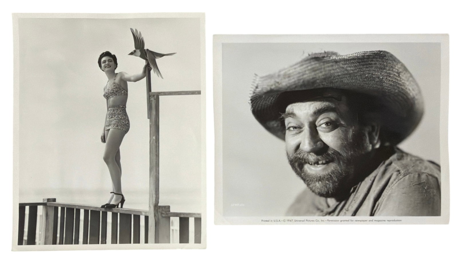 Photo Collection: Photo Collection