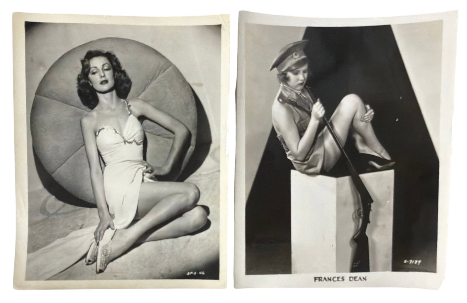 Photo Collection: Photo Collection