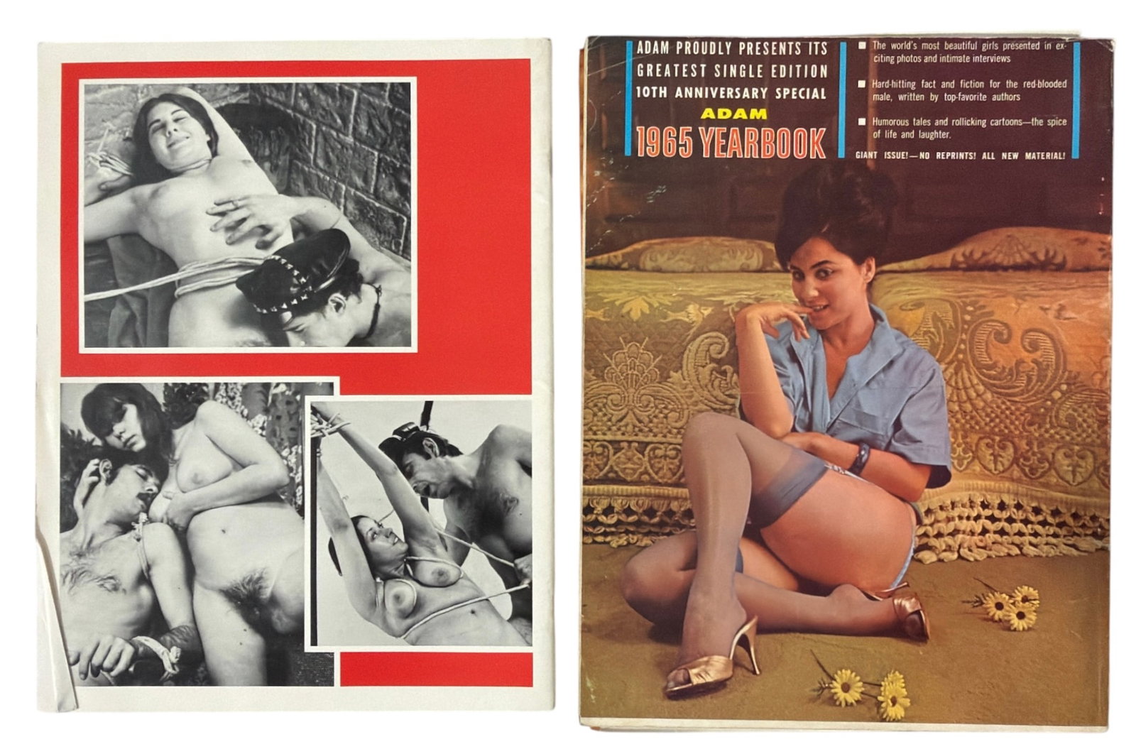 Magazine Collection - 2