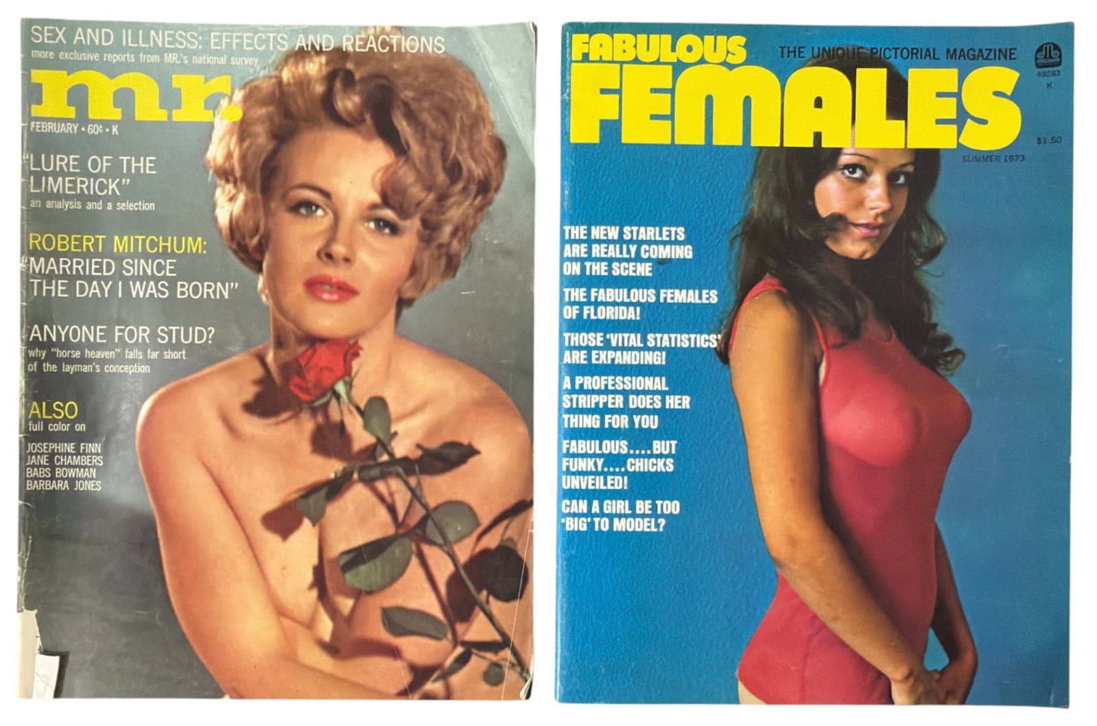Magazine Collection: Magazine Collection