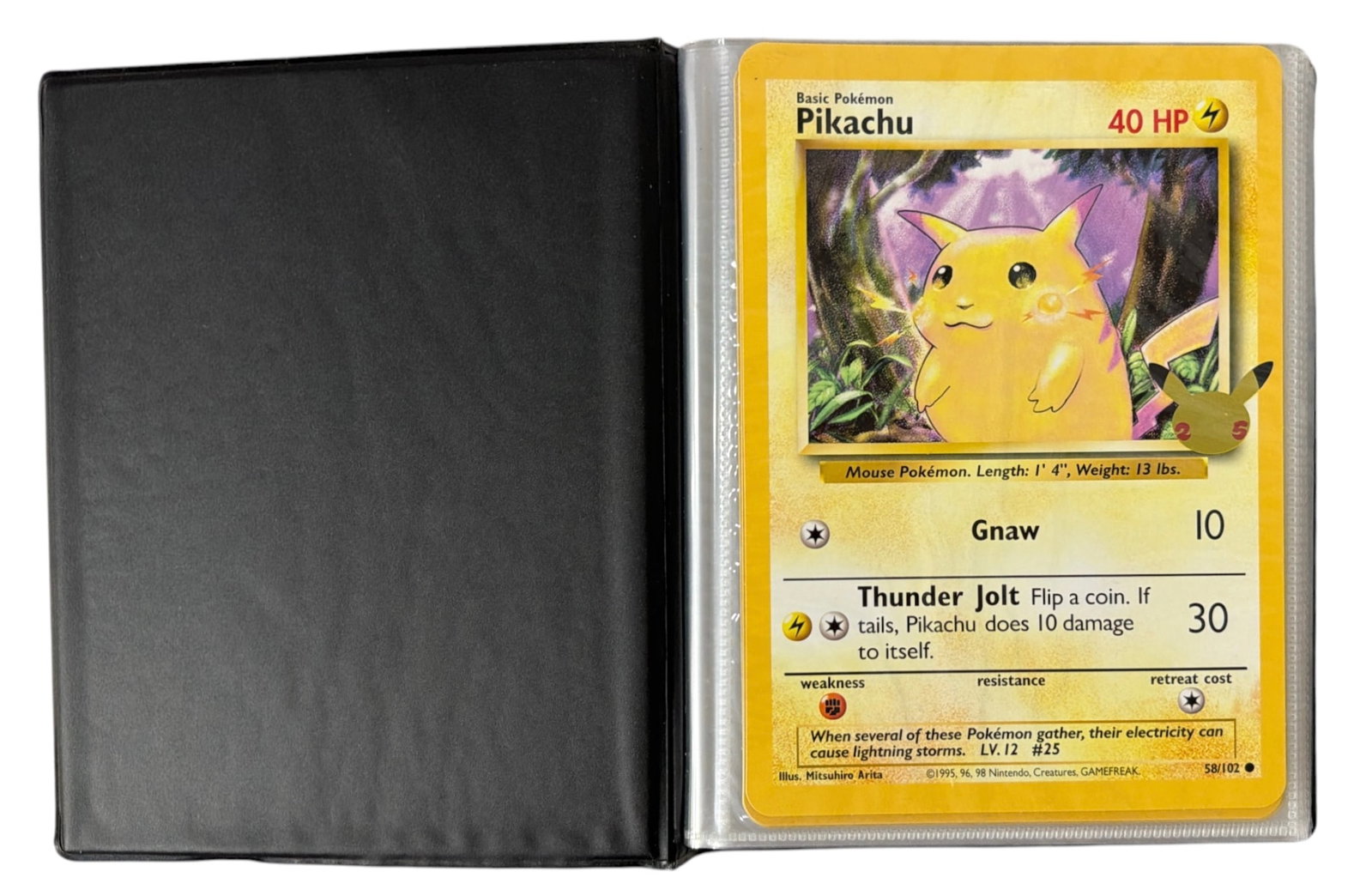 Jumbo Pokemon Trading Card Collection (1 of 6)