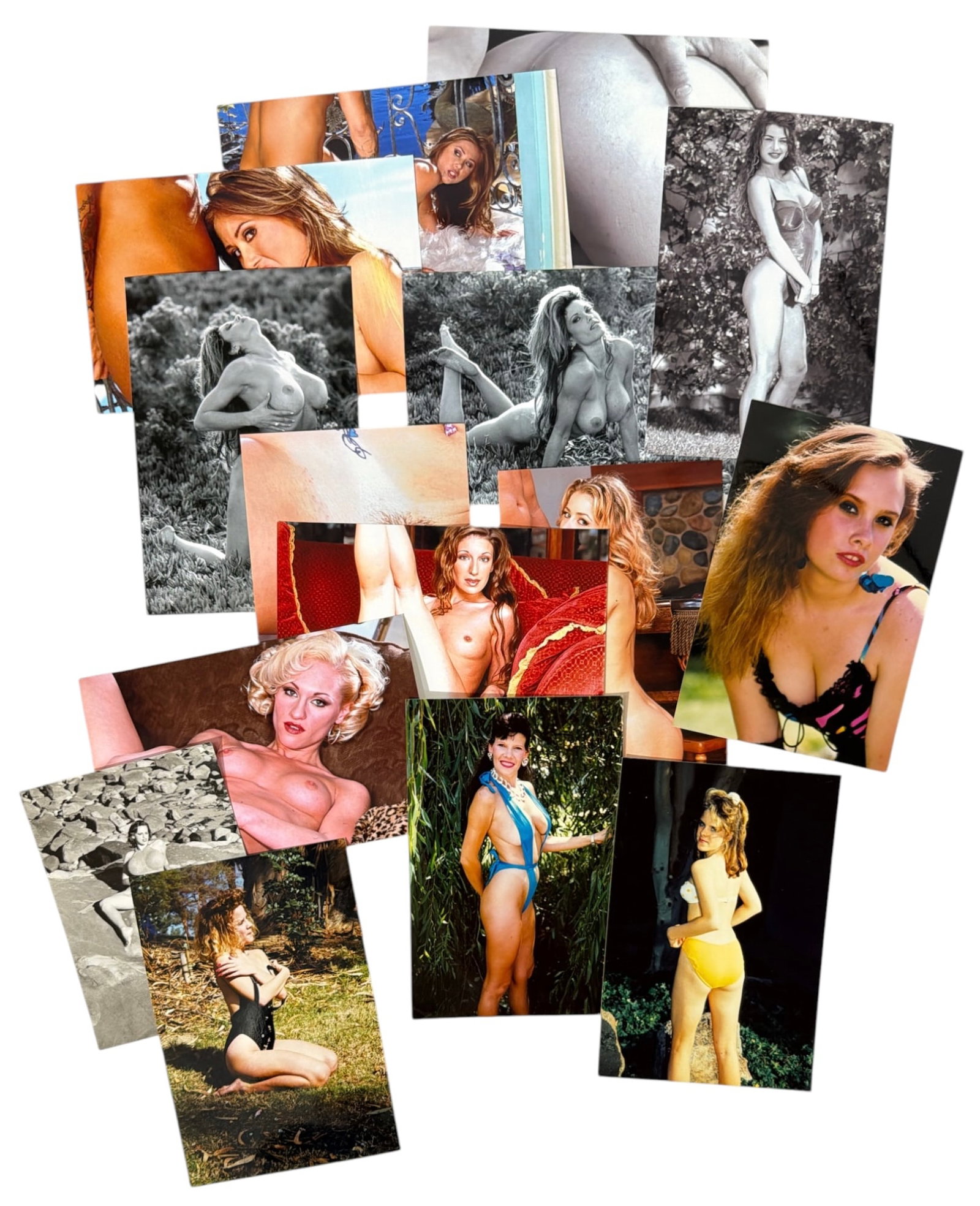 Photo Collection: Photo Collection