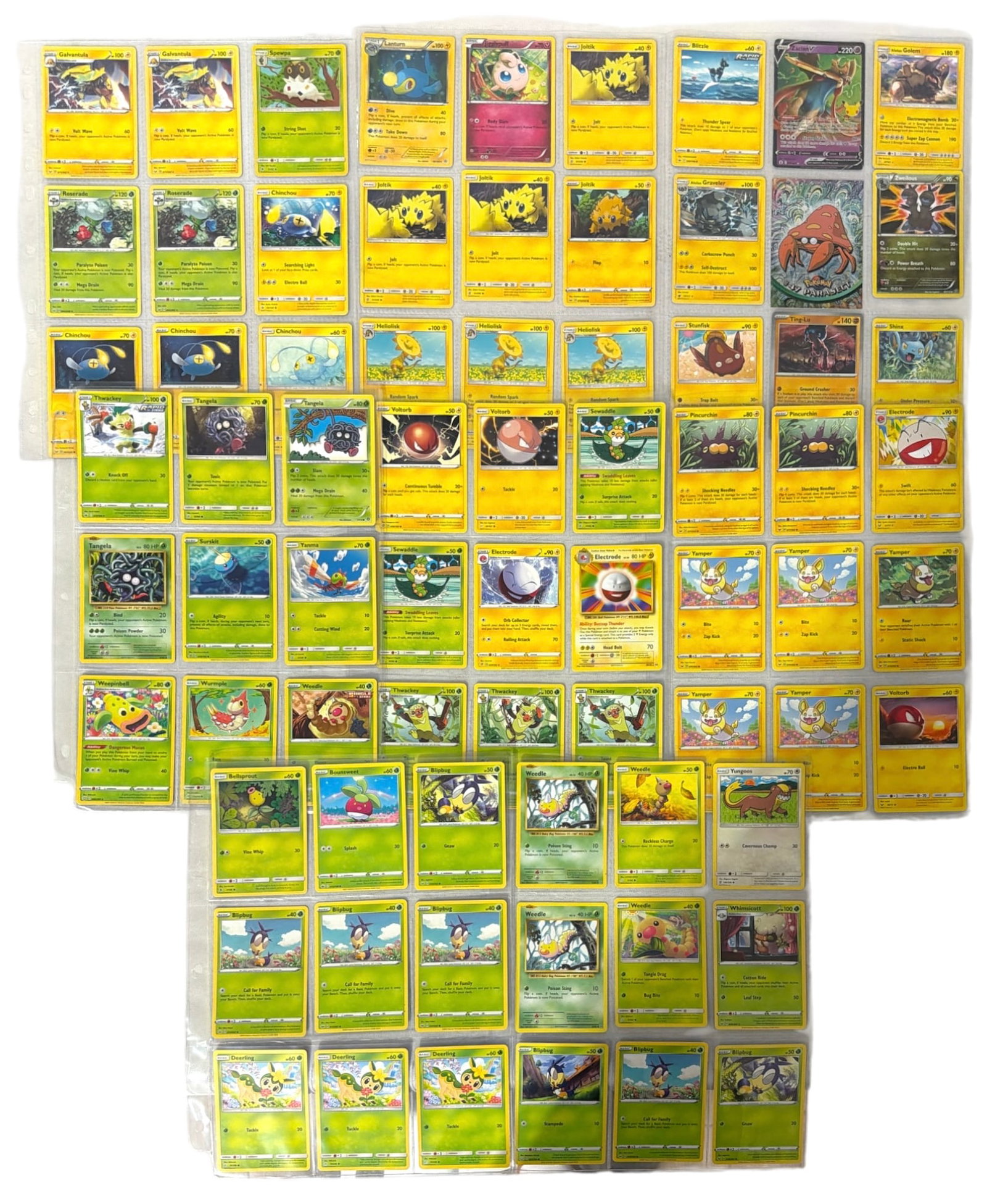 Pokemon Trading Card Collection: AUTHENTICATION HAS NOT BEEN PERFORMED TO GUARANTEE VERIFICATION | All purchases are made at the buyers discretion