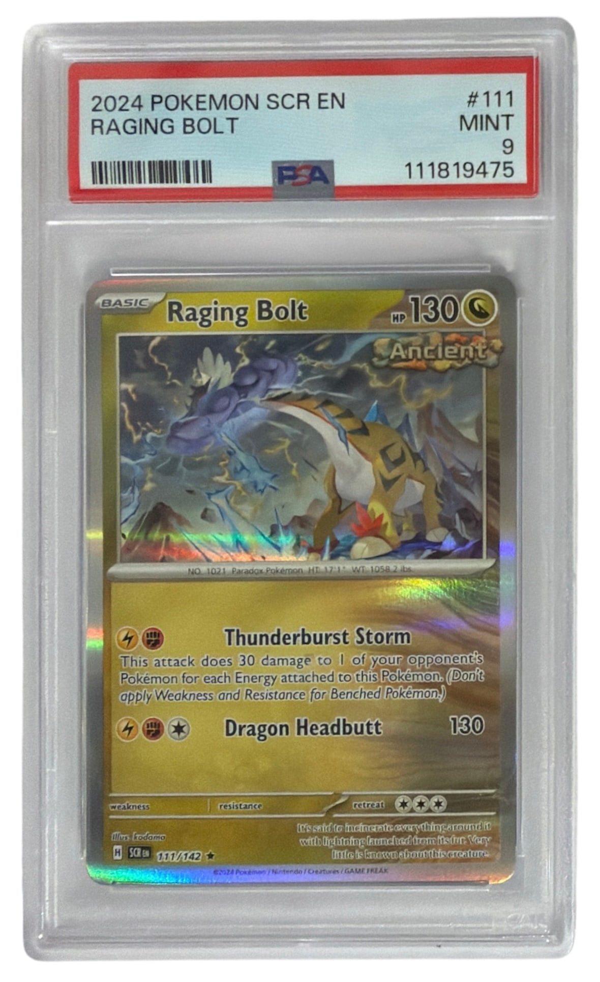 2024 Pokemon TCG Stellar Crown Raging Bolt | No. 111 | Graded 9: 2024 Pokemon TCG Stellar Crown Raging Bolt | No. 111 | Graded 9