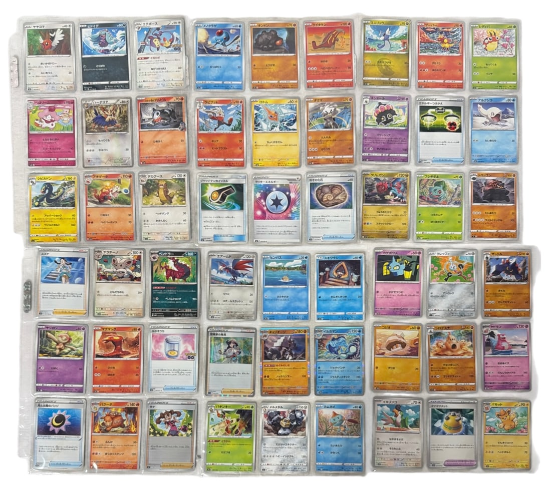 Pokemon Trading Card Collection: AUTHENTICATION HAS NOT BEEN PERFORMED TO GUARANTEE VERIFICATION | All purchases are made at the buyers discretion