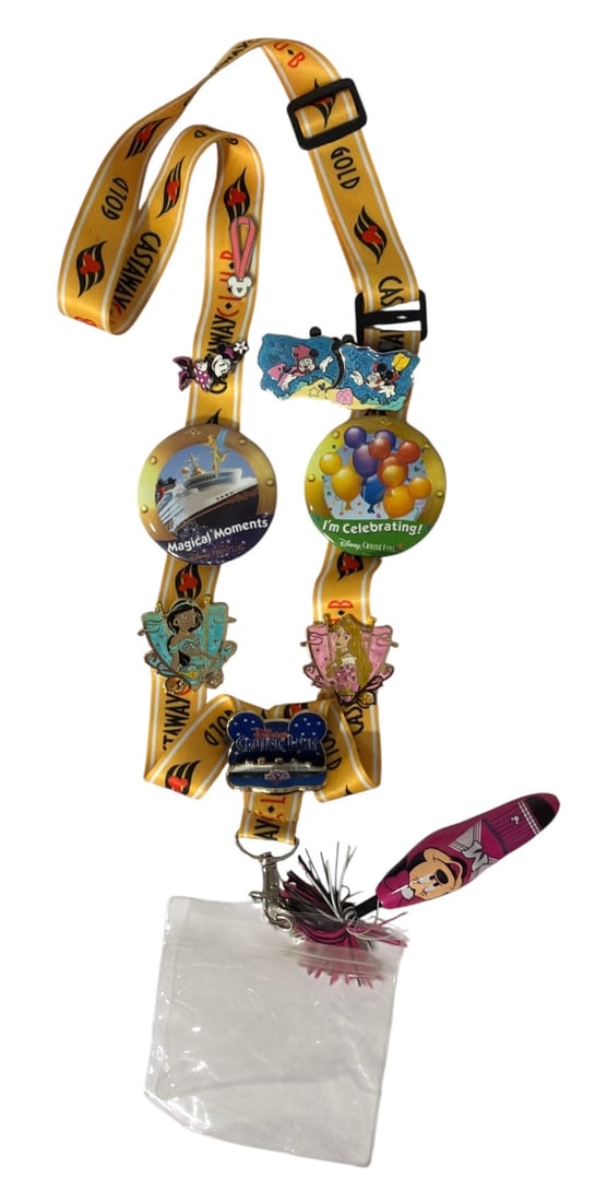 Disney Cruise Lanyard and Pin Button Collection (1 of 2)