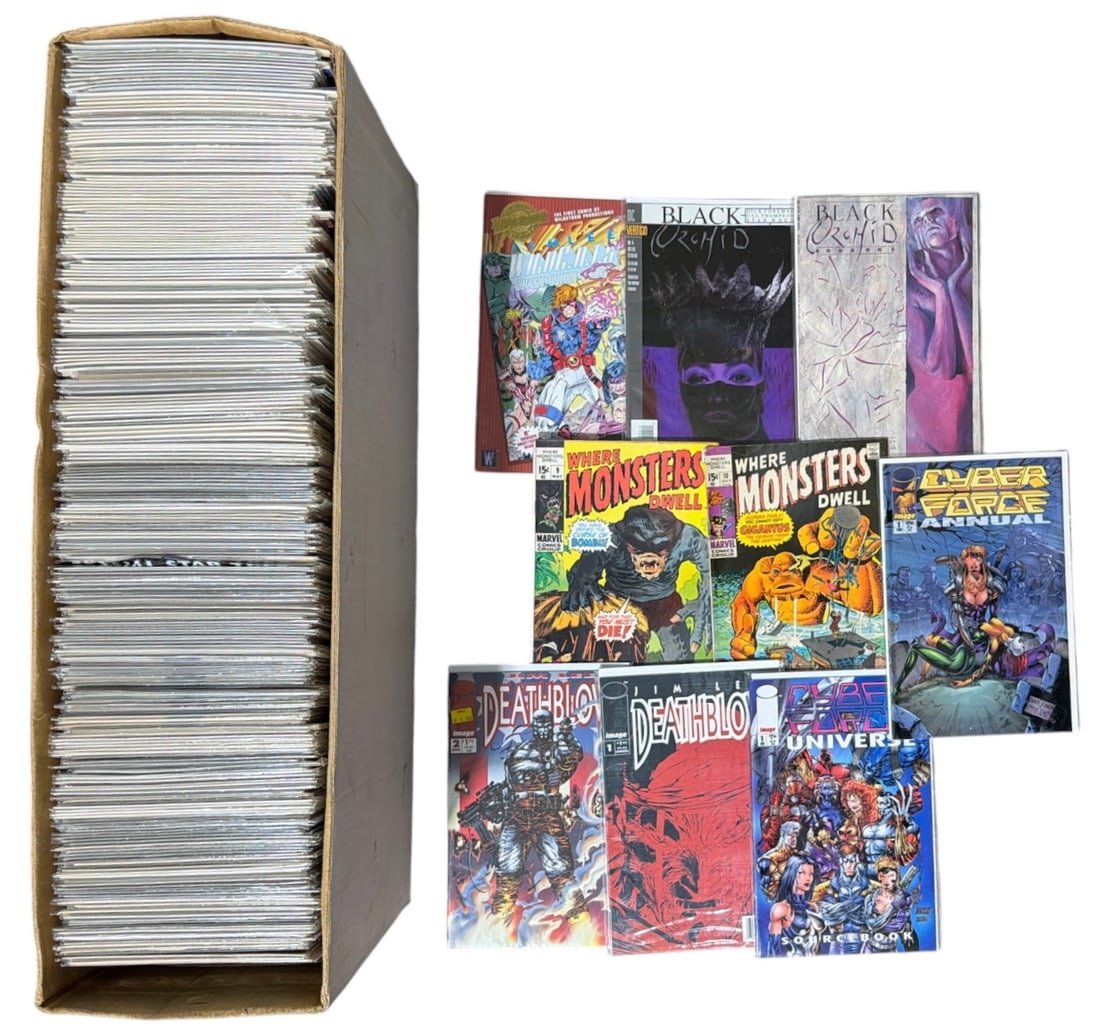 Comic Book Collection | Long Box (1 of 1)