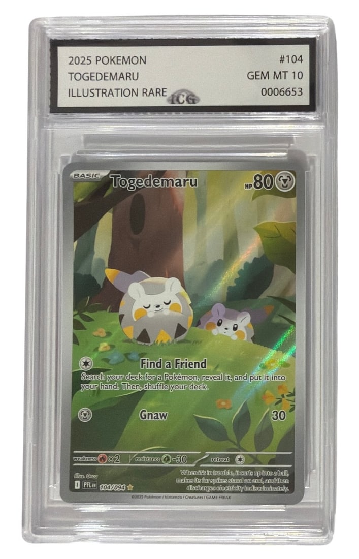 2025 Pokemon Illustration RARE Togedemaru | No. 104 | Graded 10 (1 of 2)