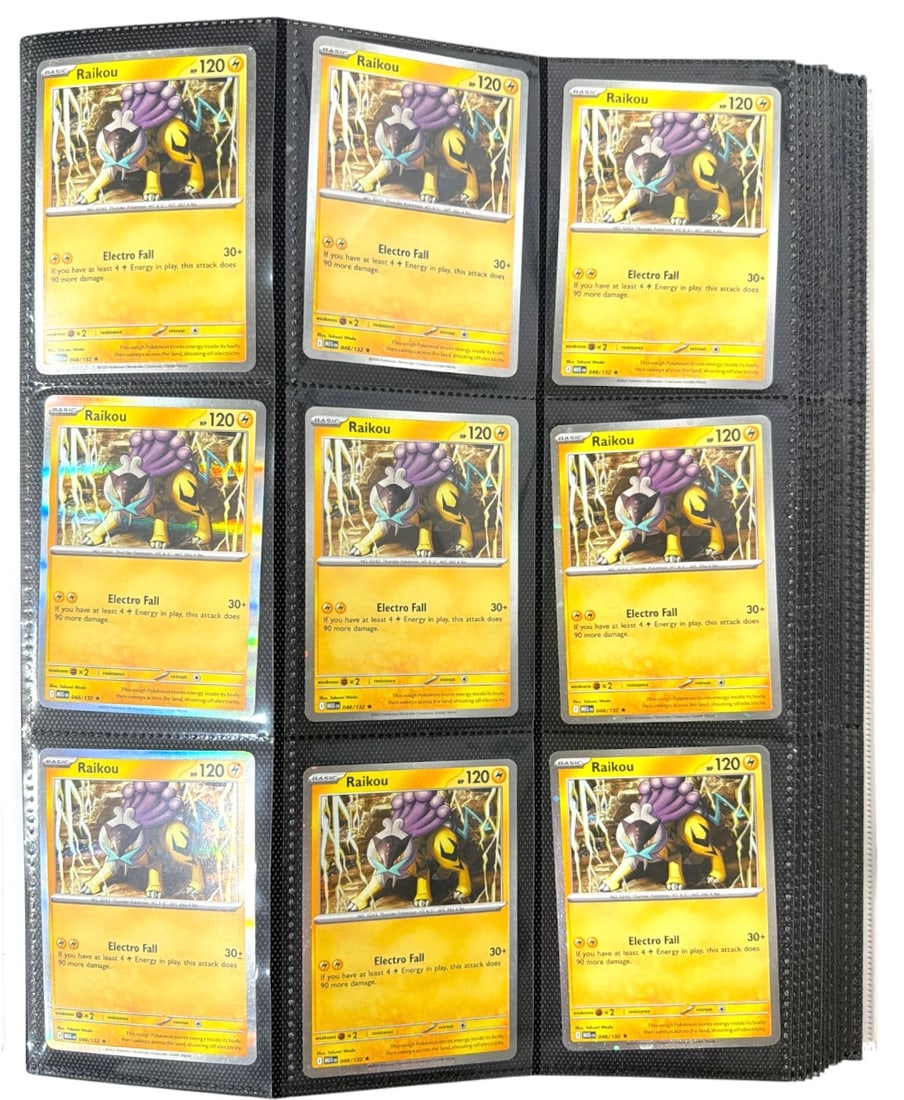 Pokemon Trading Card Collection: AUTHENTICATION HAS NOT BEEN PERFORMED TO GUARANTEE VERIFICATION | All purchases are made at the buyers discretion