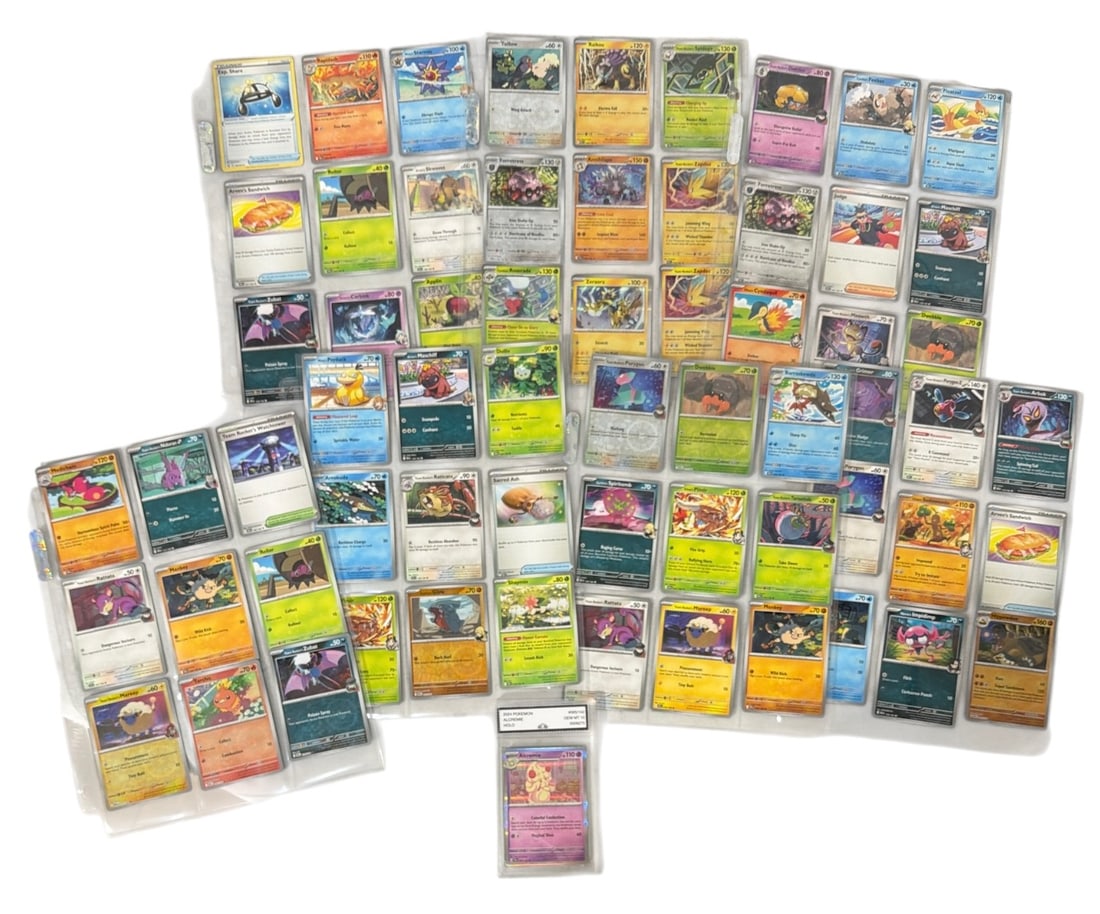 Pokemon Trading Card and Graded Card Collection: AUTHENTICATION HAS NOT BEEN PERFORMED TO GUARANTEE VERIFICATION | All purchases are made at the buyers discretion