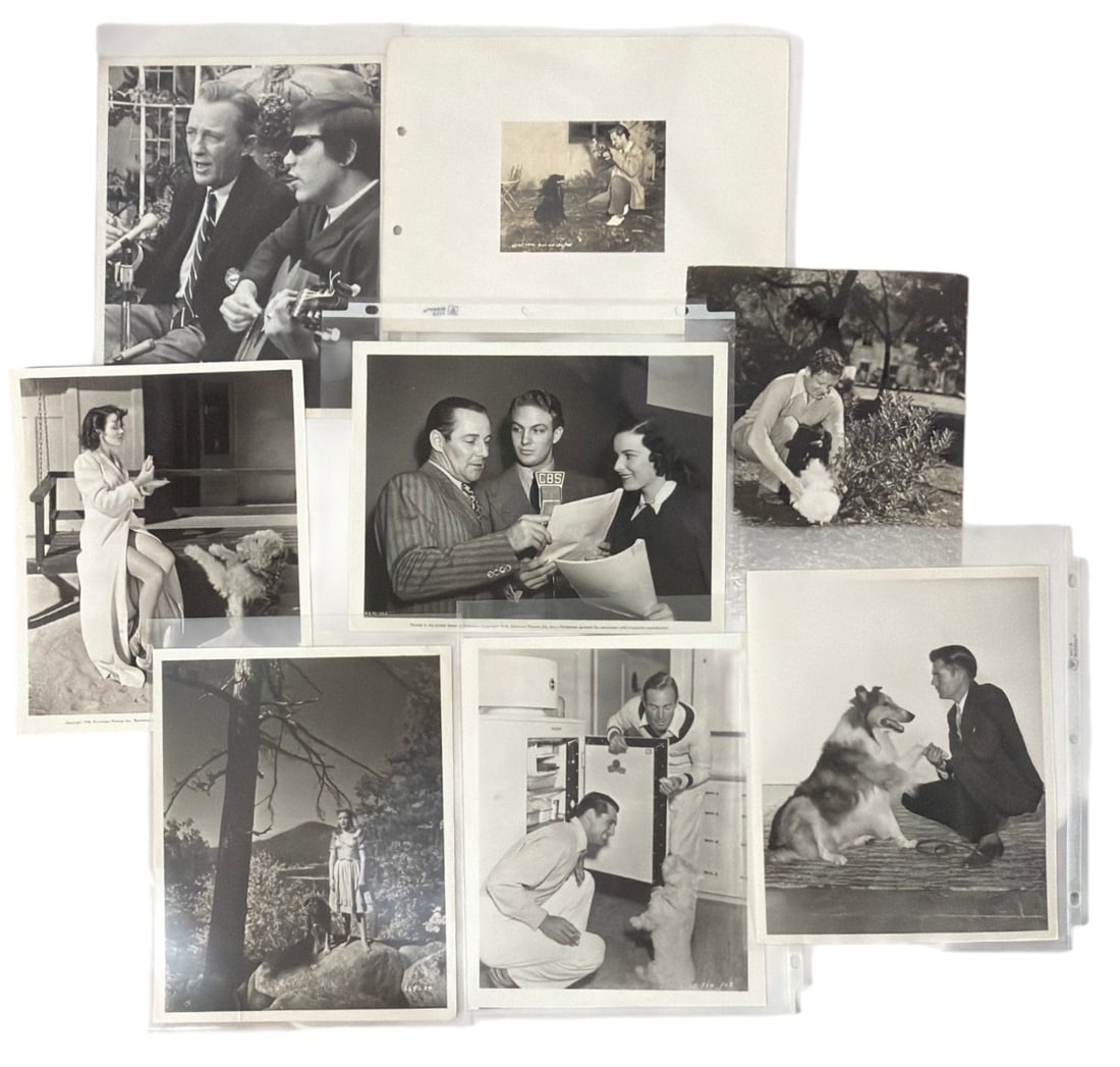 Celebrity and Movie Photo Collection: Celebrity and Movie Photo Collection