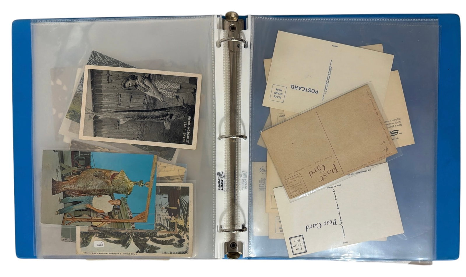 Vintage Postcard Collection - 3