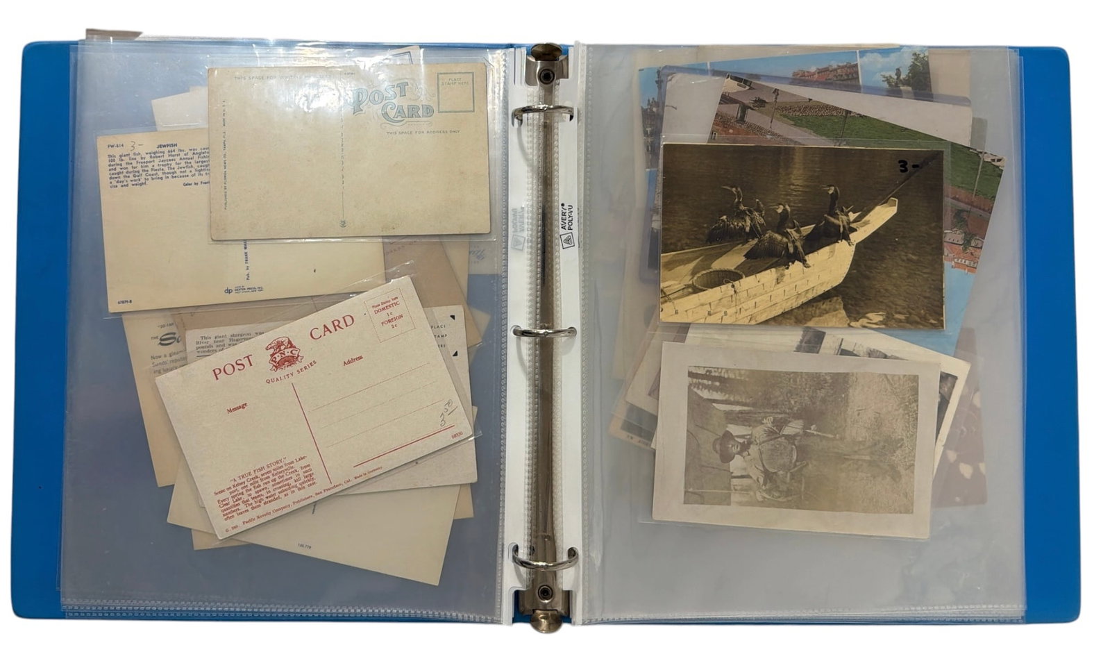 Vintage Postcard Collection - 4