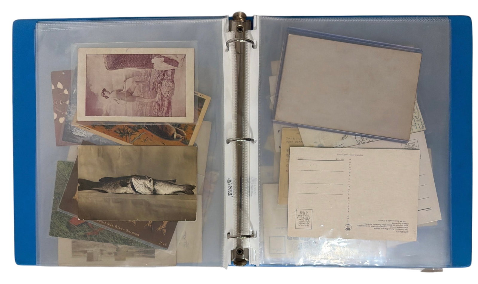 Vintage Postcard Collection - 5