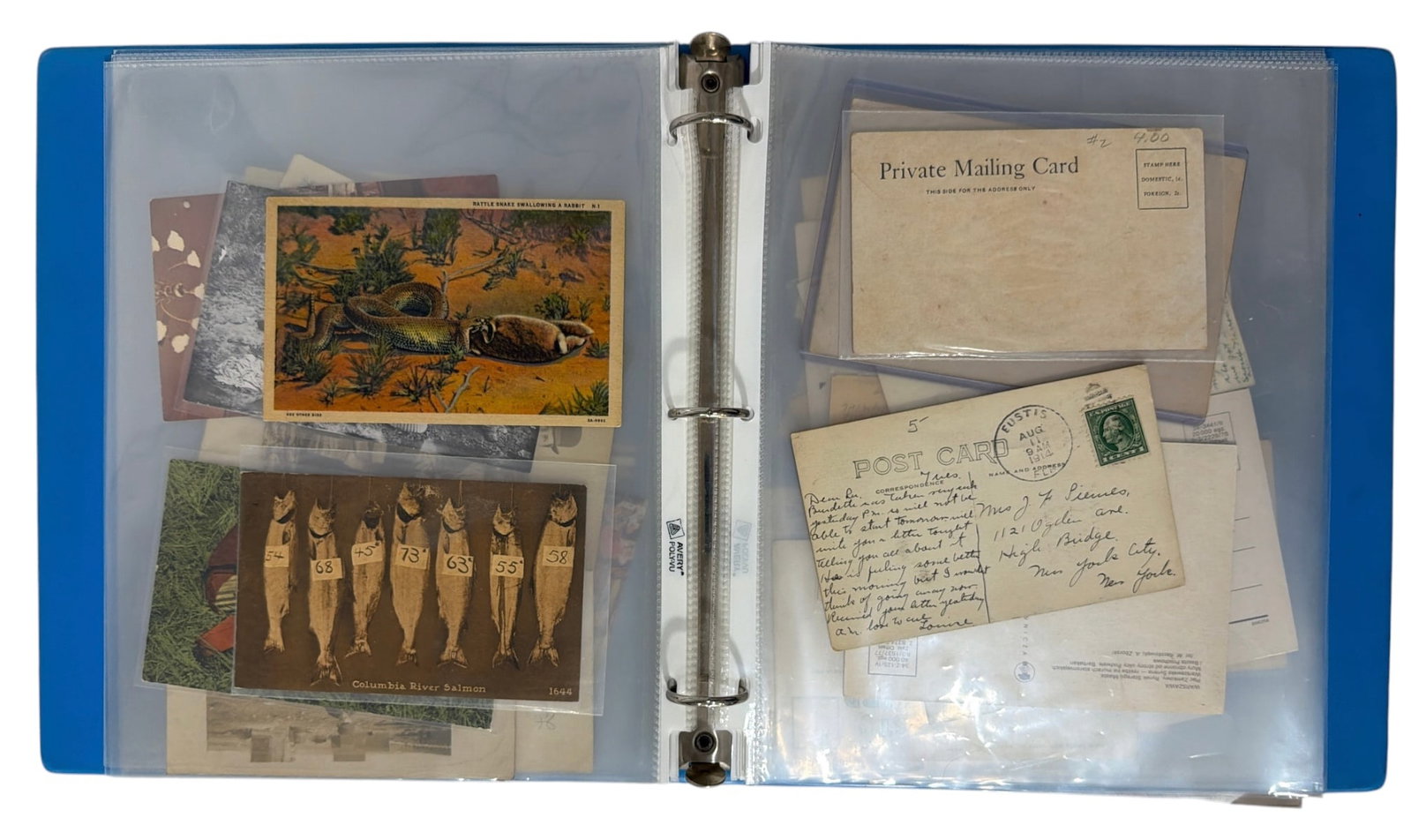 Vintage Postcard Collection - 6