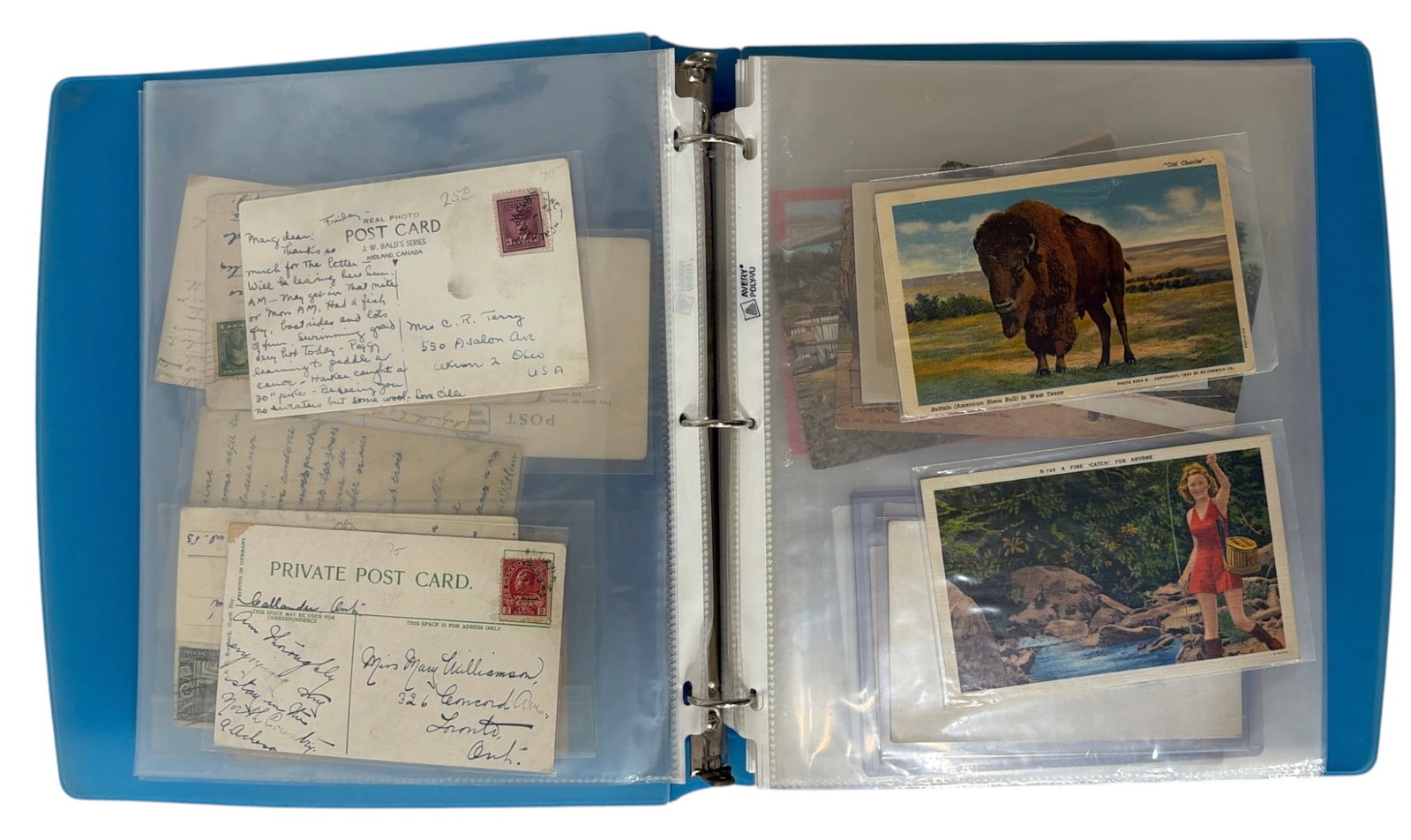 Vintage Postcard Collection - 3