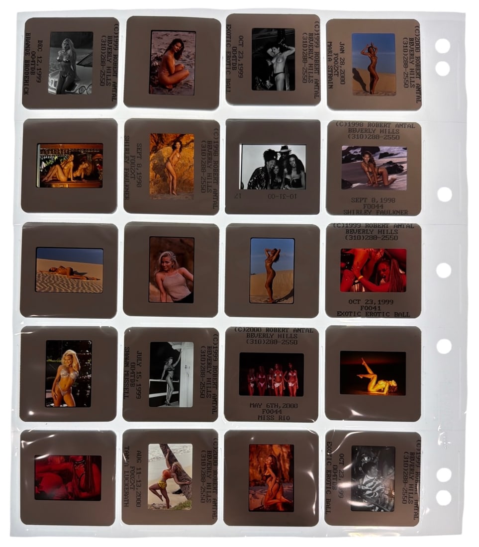 Photo Slide Collection - 2