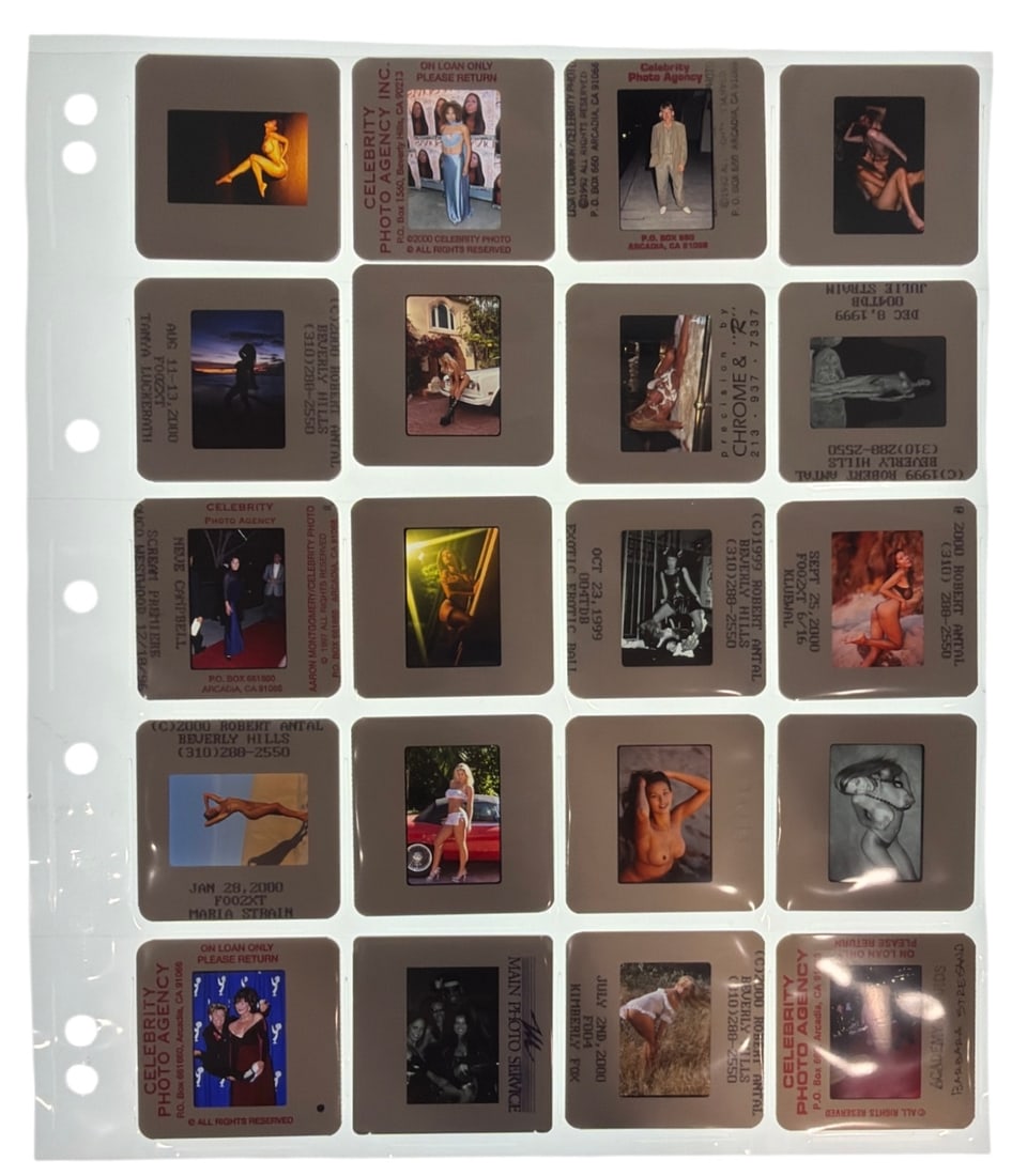 Photo Slide Collection - 2