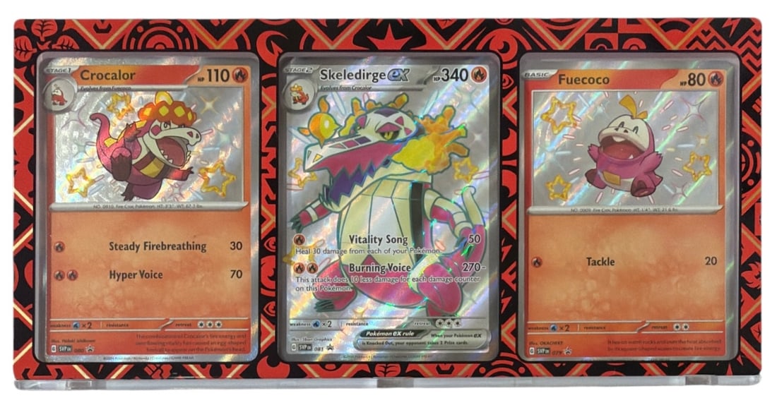 Pokemon Trading Card Collection: AUTHENTICATION HAS NOT BEEN PERFORMED TO GUARANTEE VERIFICATION | All purchases are made at the buyers discretion