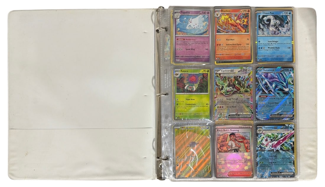 Pokemon Trading Card Collection: AUTHENTICATION HAS NOT BEEN PERFORMED TO GUARANTEE VERIFICATION | All purchases are made at the buyers discretion