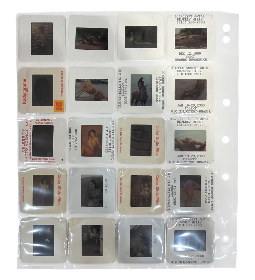 Photo Slide Collection: Photo Slide Collection