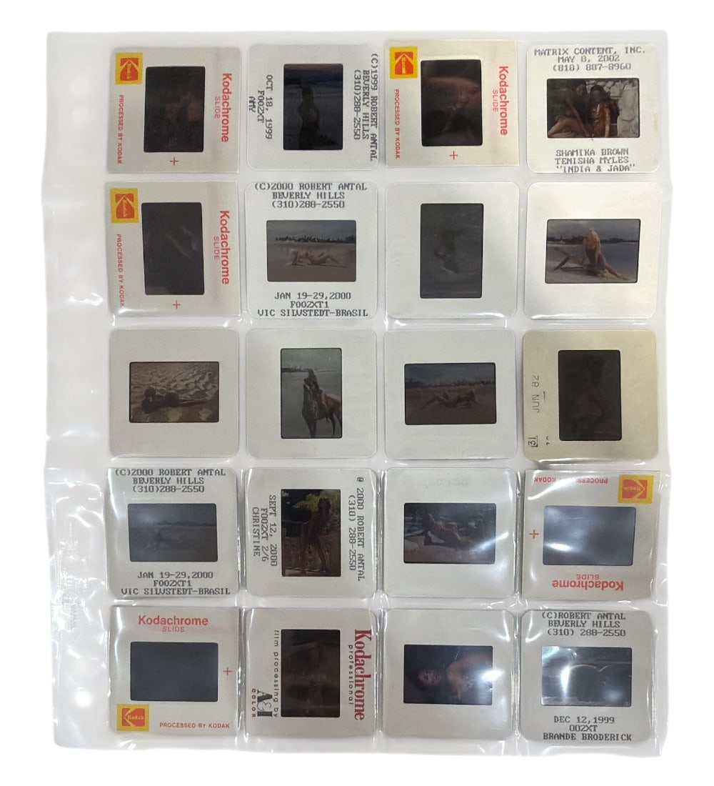 Photo Slide Collection: Photo Slide Collection