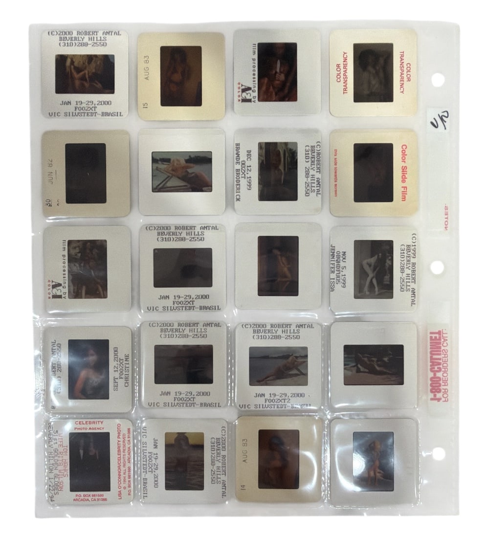 Photo Slide Collection: Photo Slide Collection