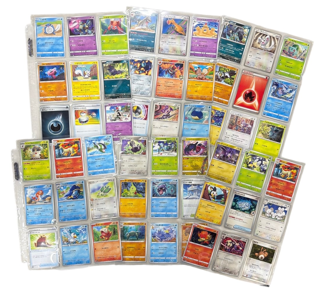Pokemon Trading Card Collection: AUTHENTICATION HAS NOT BEEN PERFORMED TO GUARANTEE VERIFICATION | All purchases are made at the buyers discretion