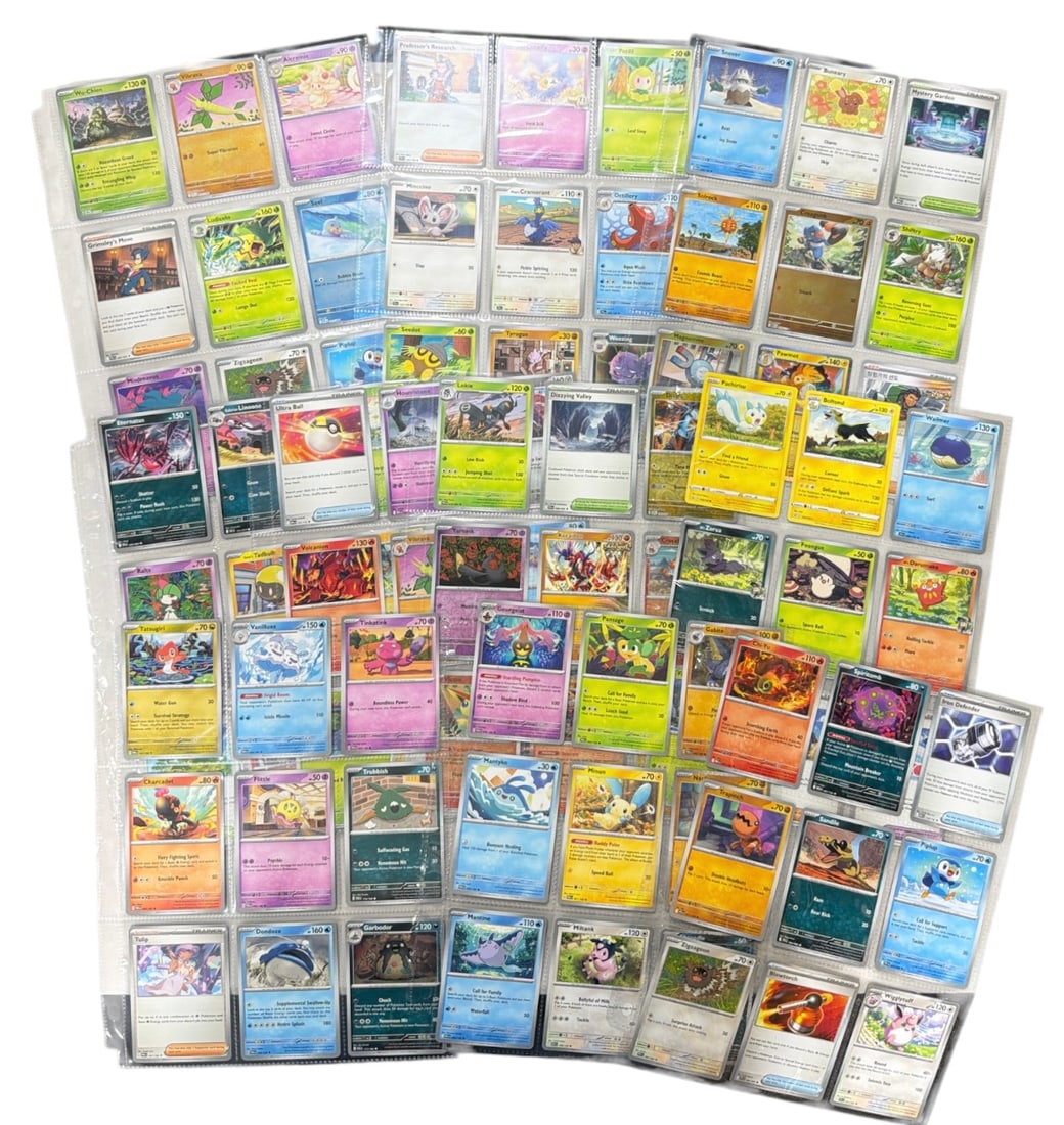 Pokemon Trading Card Collection: AUTHENTICATION HAS NOT BEEN PERFORMED TO GUARANTEE VERIFICATION | All purchases are made at the buyers discretion