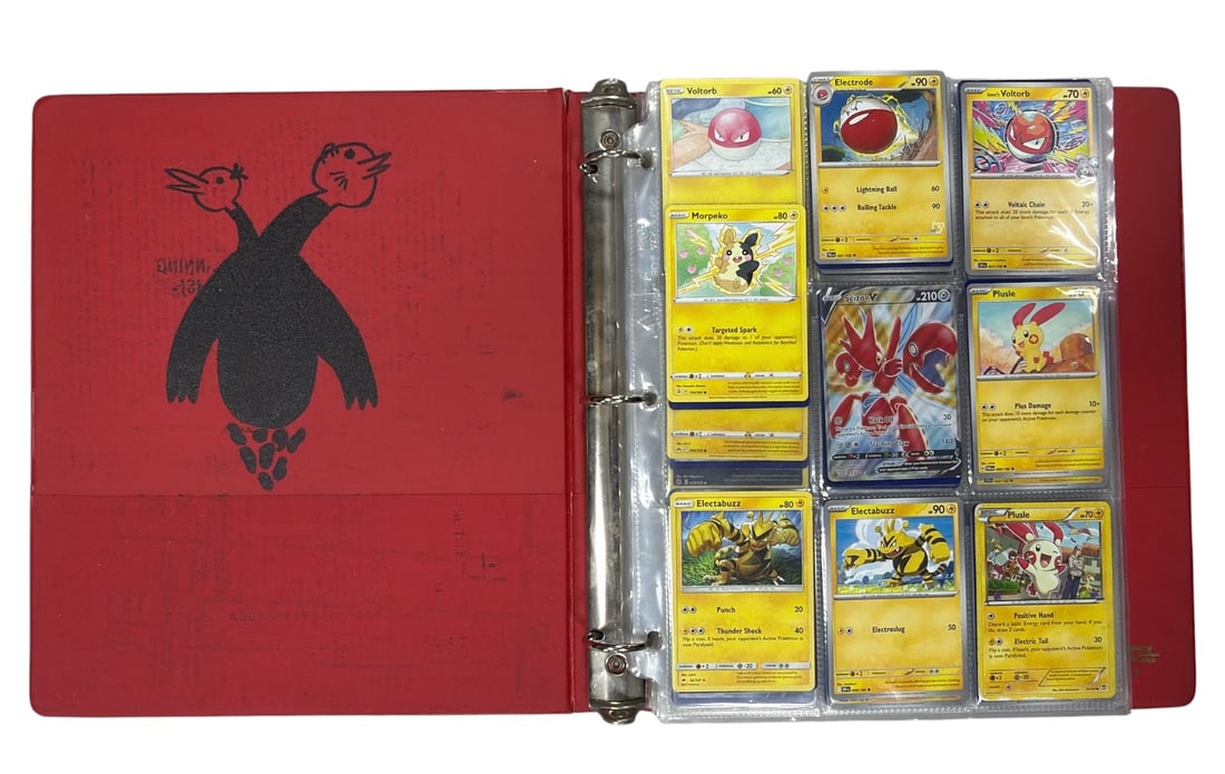 Pokemon Trading Card Collection: AUTHENTICATION HAS NOT BEEN PERFORMED TO GUARANTEE VERIFICATION | All purchases are made at the buyers discretion