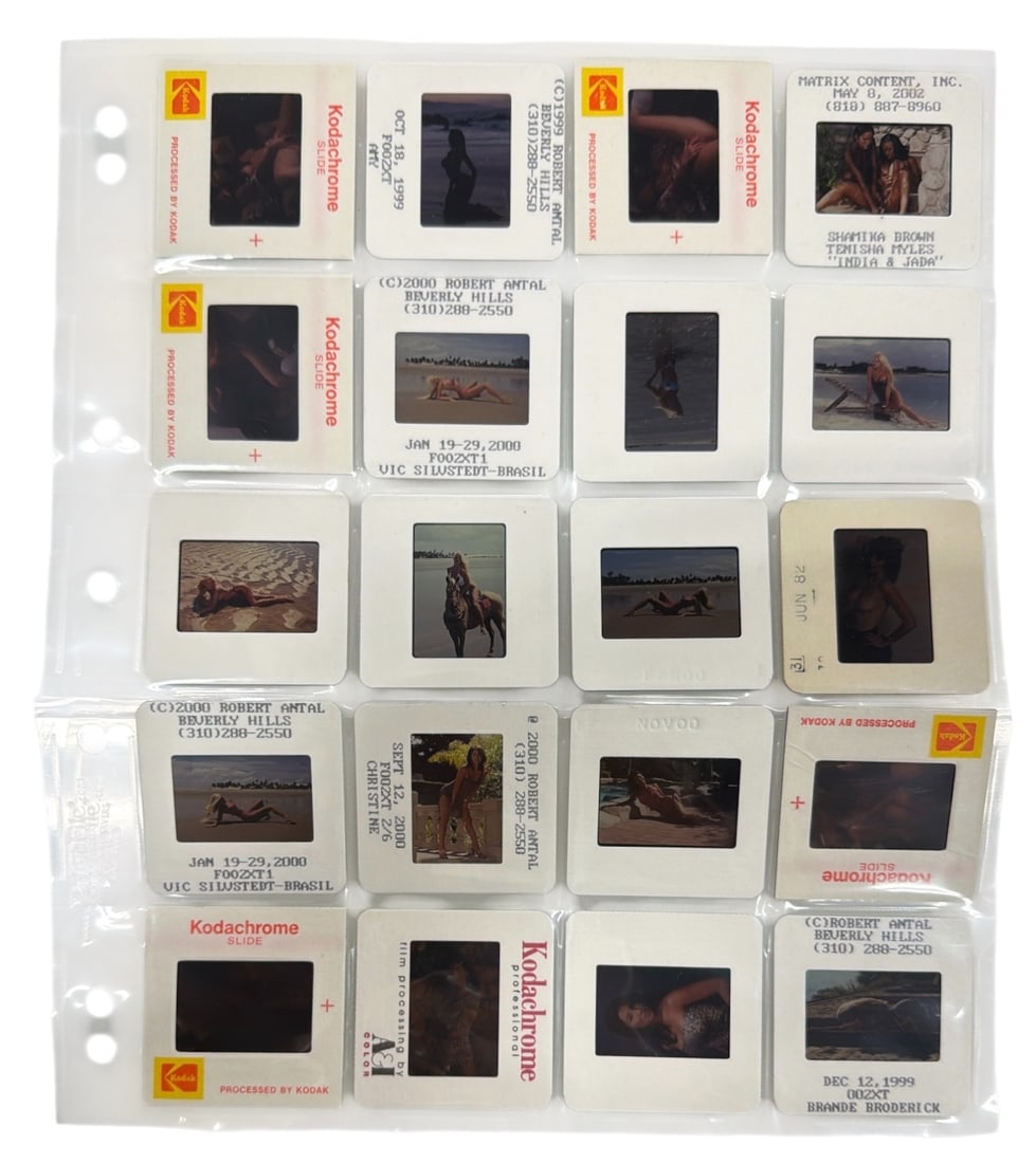 Photo Slide Collection: Photo Slide Collection
